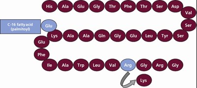 liraglutide-injection-1.jpg Figure 1 Structural Formula of liraglutide - liraglutide injection 1