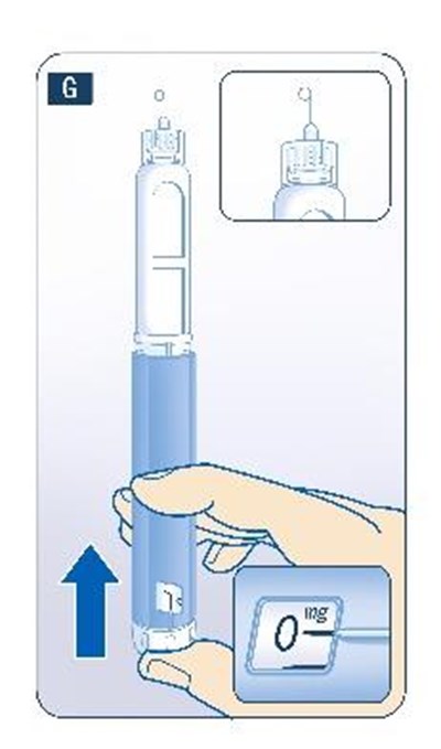 Figure G (Liraglutide Injection 13)
