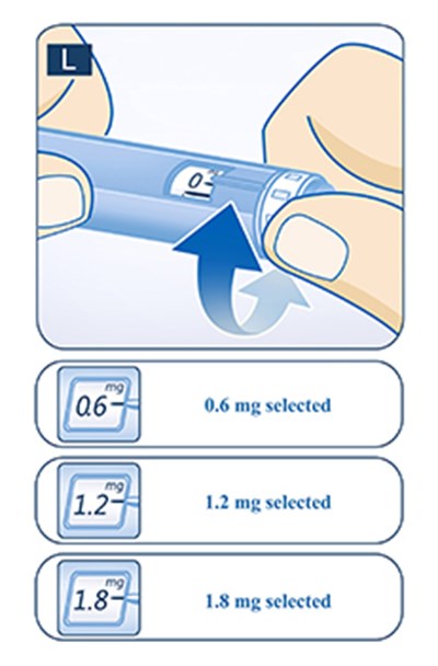 Fig. L (Liraglutide Injection 17)