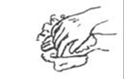 Image Description (Cetra 2)