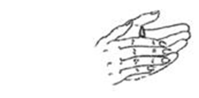 Image Description (Cetra 3)