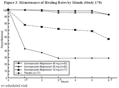 Figure 3: Maintenance Of Healing Rates By Month (study 178) (Esomeprazole Magnesium Dr Caps Usp 40 mg   8396    3)