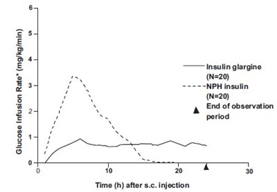 image-24.jpg image-24 - image 24