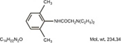lido.jpg structure1 - lido
