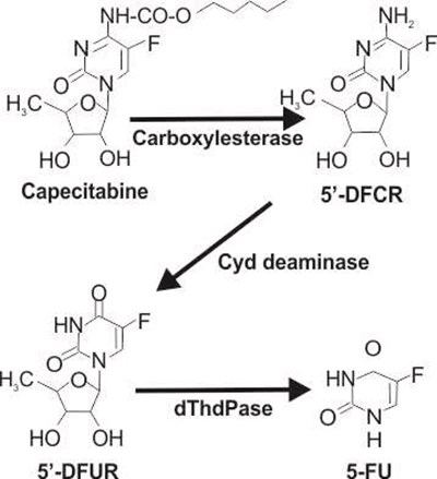 for - capecitabine formula