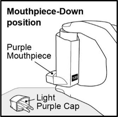 Figure E (Advairhfa Spl Graphic 11)