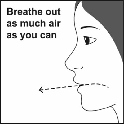 Figure F (Advairhfa Spl Graphic 12)
