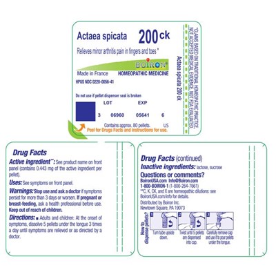label - Actaea spicata 200ck label