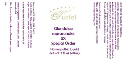 Glandulaesuprarenales3soliquid (Glandulaesuprarenales3soliquid)