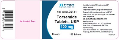 Torsemide100mg100s (Torsemide100mg100s)