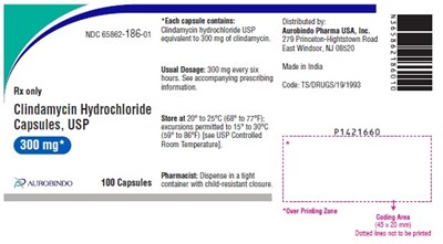 clindamycin-fig2.jpg PACKAGE LABEL-PRINCIPAL DISPLAY PANEL - 300 mg (100 Capsules Bottle) - clindamycin fig2
