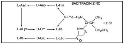 Fera Pharmaceuticals Bacitracin Zinc Structural Formula (23764466 Adbe 4c9c Be60 3b09458d634e 03)
