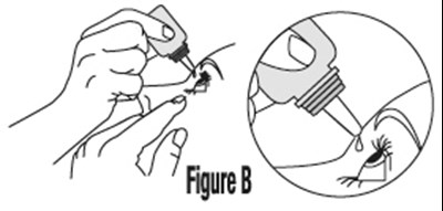 Figure B (Cosopt 04)