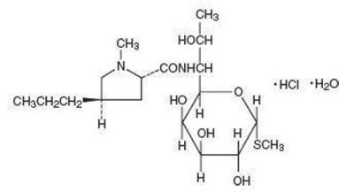 Structure-lincomycin Injection (Lincomycin Injection 1)