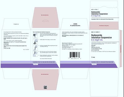 image-10.jpg Budesonide Inhalation Suspension 0.5 mg/2 mL, 30s (6 pouches of five 2 mL vials each) Carton, Part 1 of 2 - image 10