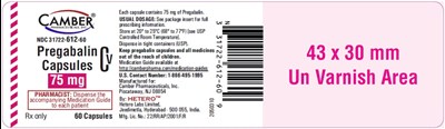 Pregablin Capsules 75 Container  60 (Pregablin Capsules 75 Container 60)