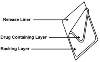 fen04-0006-02.jpg Figure - fen04 0006 02