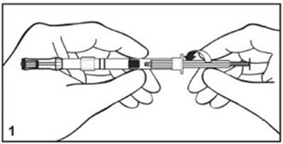 Figure 1 (Image 04)