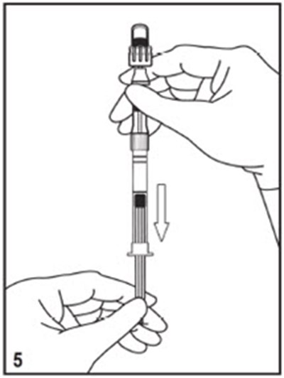 Figure 5 (Image 08)