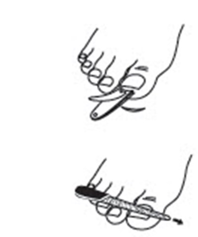 Figure 1 (Ciclodan 02)