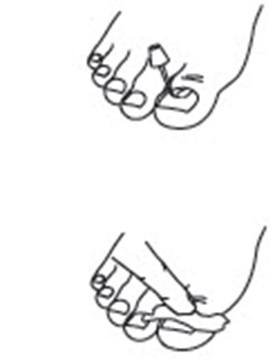 Figure 3 (Ciclodan 04)
