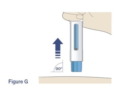 Figure G (Trutakna 09)