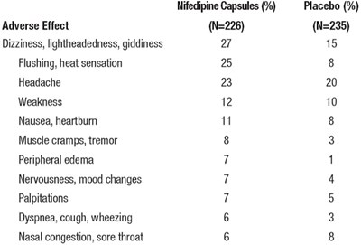 image-03.jpg 03 - image 03