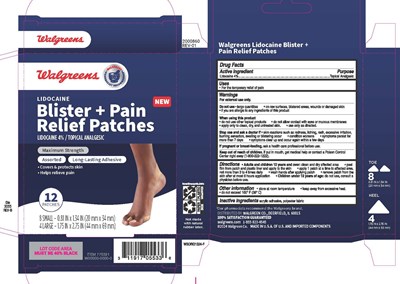 Product Label (2000860 Wlg Lidocaine New)
