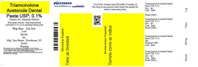Triamcinolone Acetonide Dentalpaste Usp 0.1% (Triamcinolone Acetonide 02)
