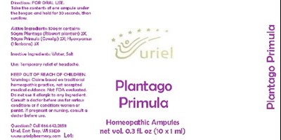 Plantagoprimulaampule
