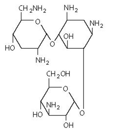 Tobramycin (structural Formula) (26029ae3 D103 4ffd B536 7366276f02bf 01)