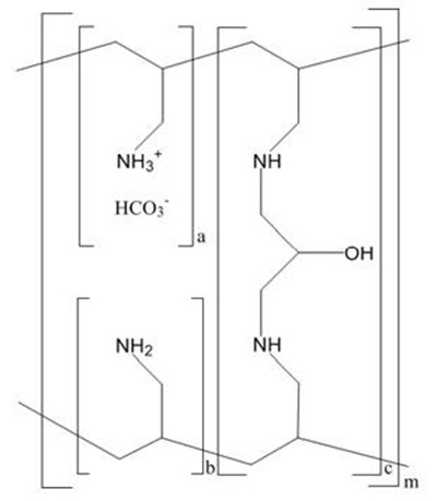 Sevelamer-car-structure (Sevelamer Carbonate Fig 1)
