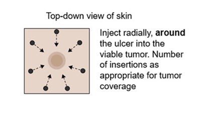 Figure 2b (Tudriqev 04)
