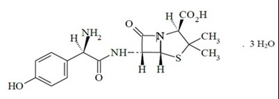Amoxi-strua.jpg (Amoxi Strua)