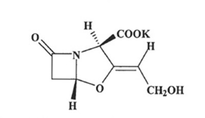 Amoxi-strub.jpg (Amoxi Strub)