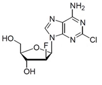 Clofarabine-structure (Clofarabine Structure)