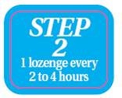 Step 2 Image (Ee345181 4999 4948 9589 7d70d61885ad 03)