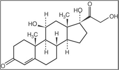 hydrocortisone-structure.jpg Structure - hydrocortisone structure