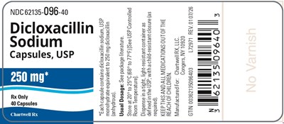 "image Description" (Dicloxacillin Sodium Caps 250mg 40s Bottle Label)