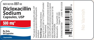 "image Description" (Dicloxacillin Sodium Caps 500mg 50s Bottle Label)