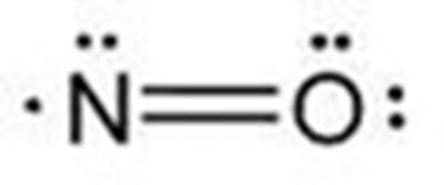 102noimage