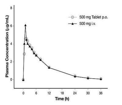 figure3.jpg figure3 - figure3