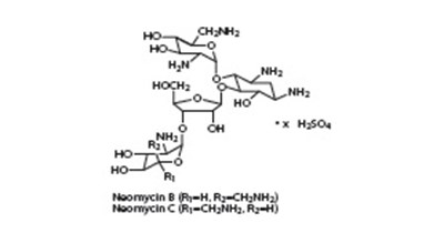 neomycin-structure1.jpg image-1 - neomycin structure1