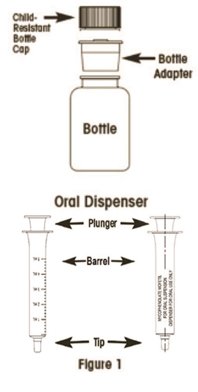 Figure 1 (Mycophenolate Mofetil For Oral Suspension 2)
