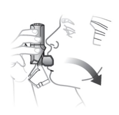 Figure D (Image 8)