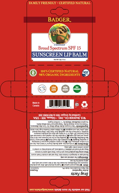 lip-balm-01.jpg Principal Display Panel - 4.2 g Tube Box - lip balm 01