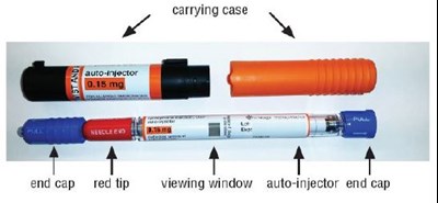 1 (Epinephrine Injection 2)