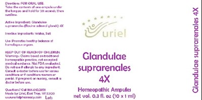 Glandulaesuprarenales4ampules