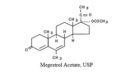 Image 1 (Image 1)