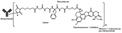 Chemical Structure (Datopotamab 01)